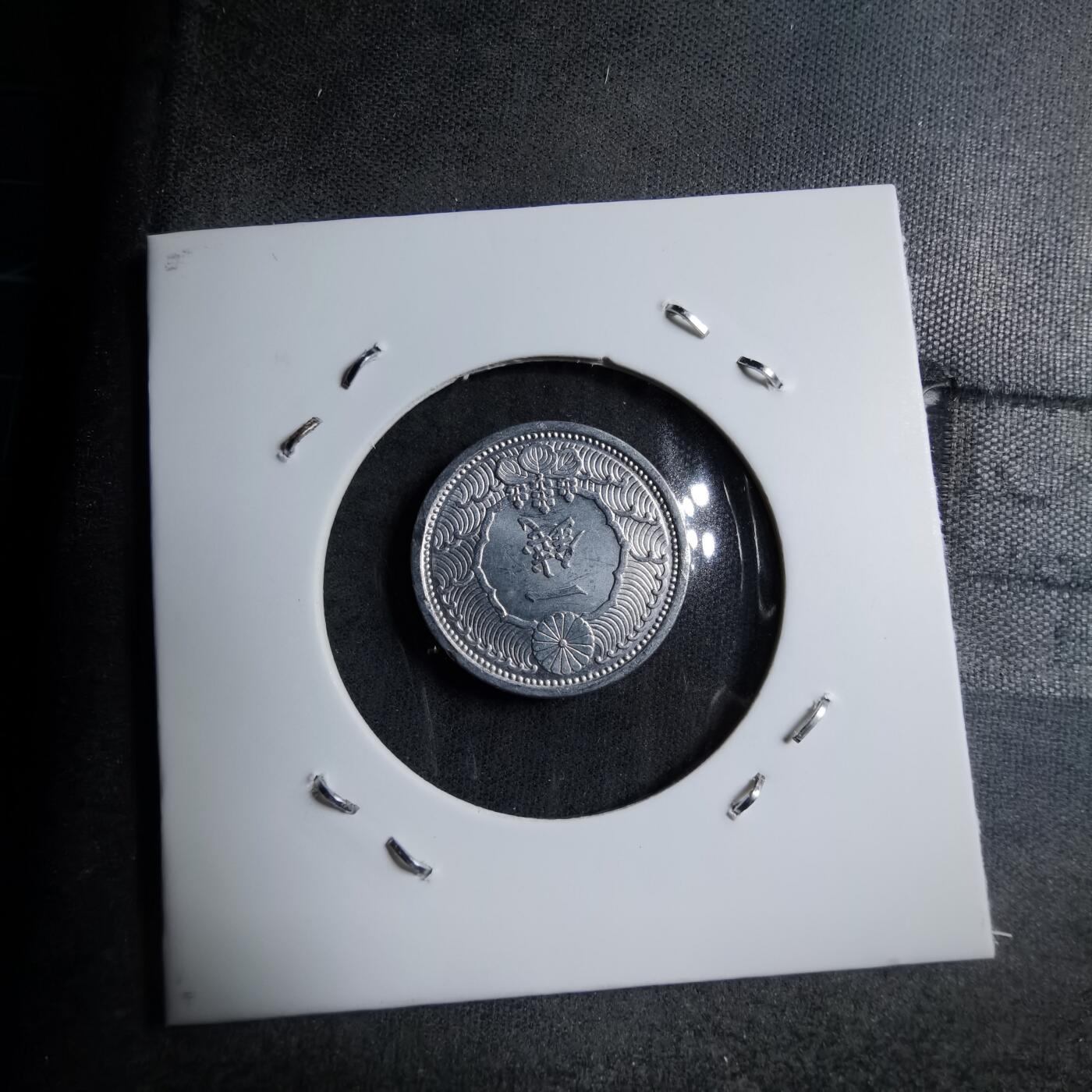 沼泽如烟--第891场