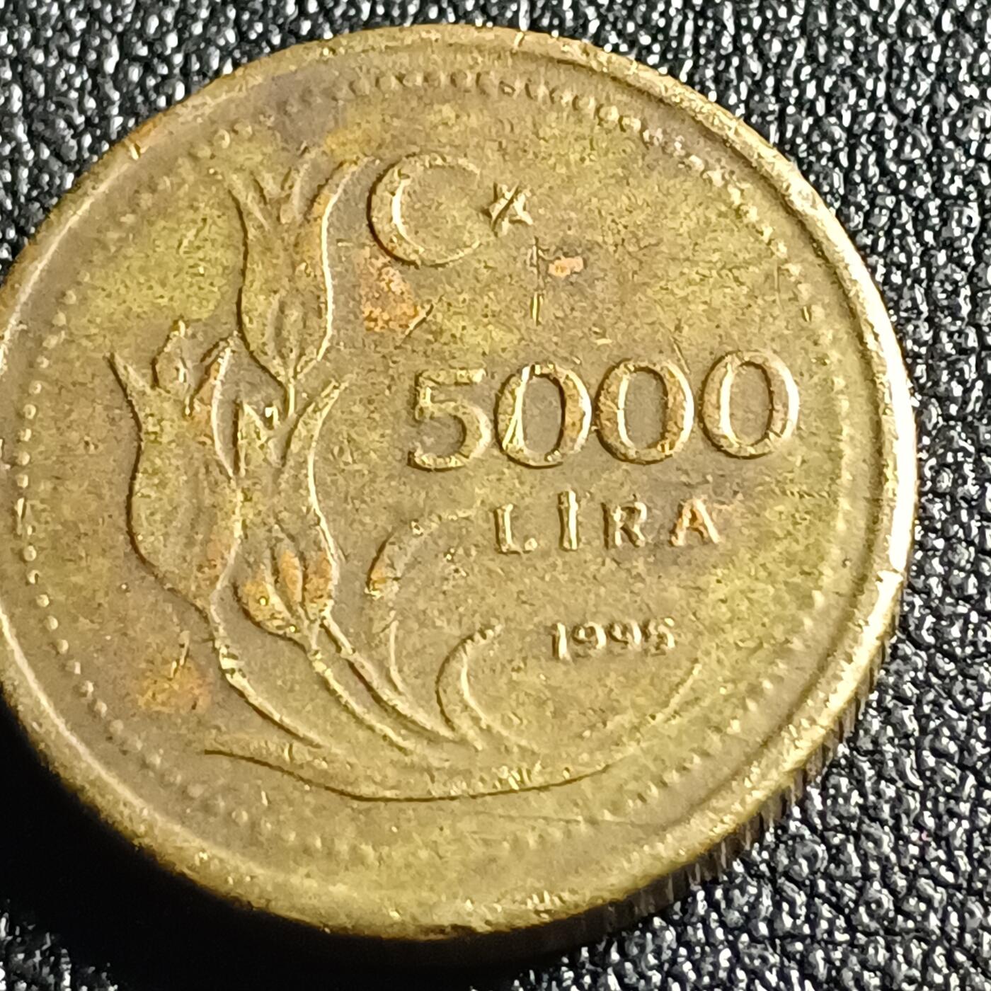 泉币菌-第128场-精品福利场(115场之后的本周末发货，感谢理解) 。