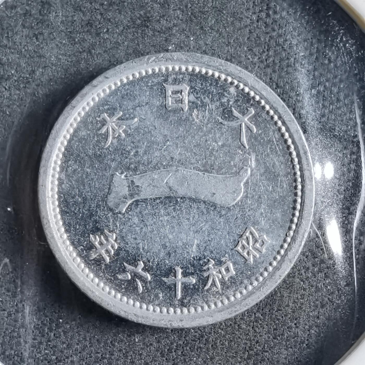 沼泽如烟--第891场