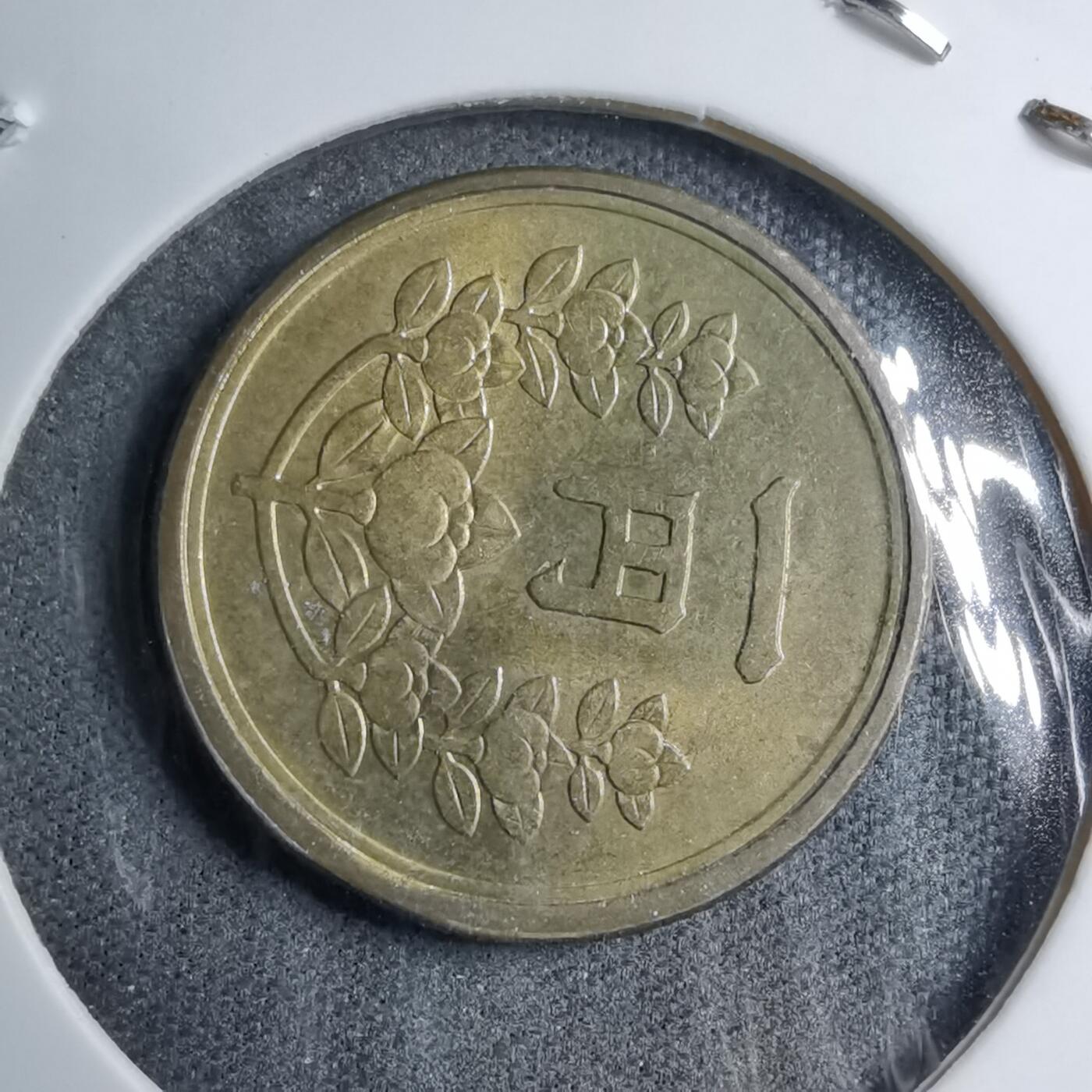 沼泽如烟--第891场