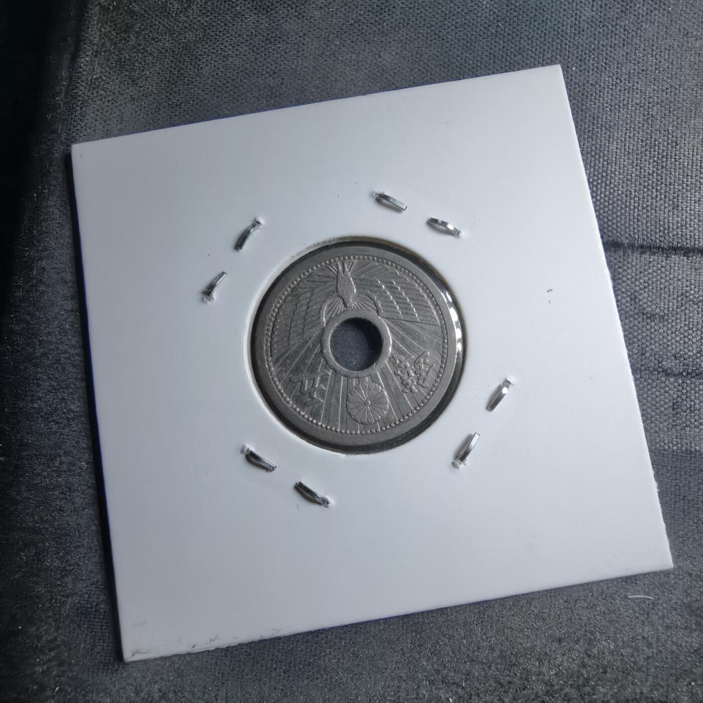 沼泽如烟--第891场