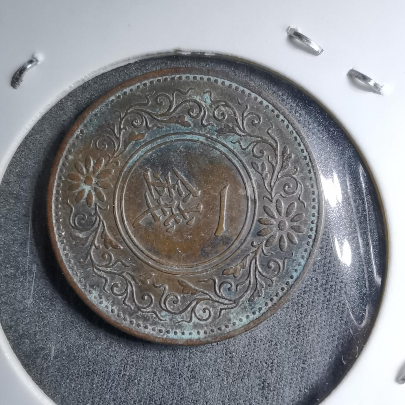 沼泽如烟--第891场