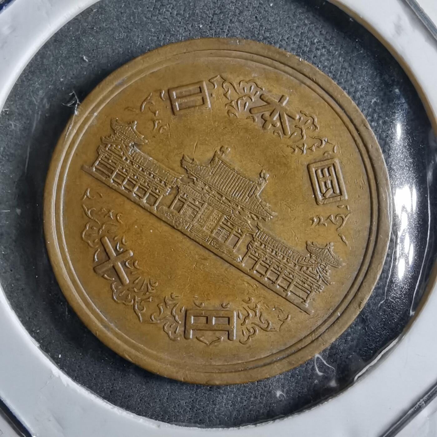 沼泽如烟--第891场