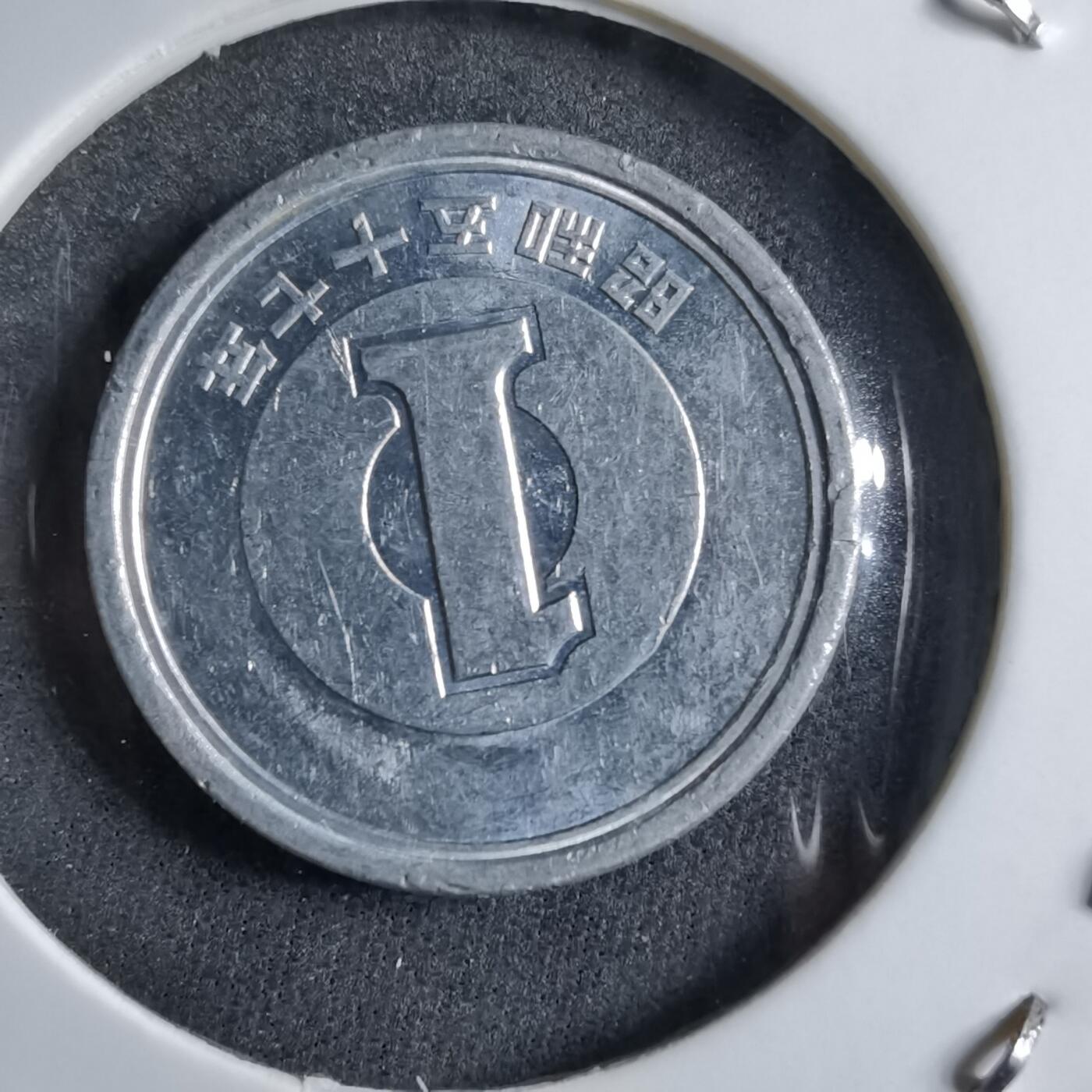 沼泽如烟--第891场