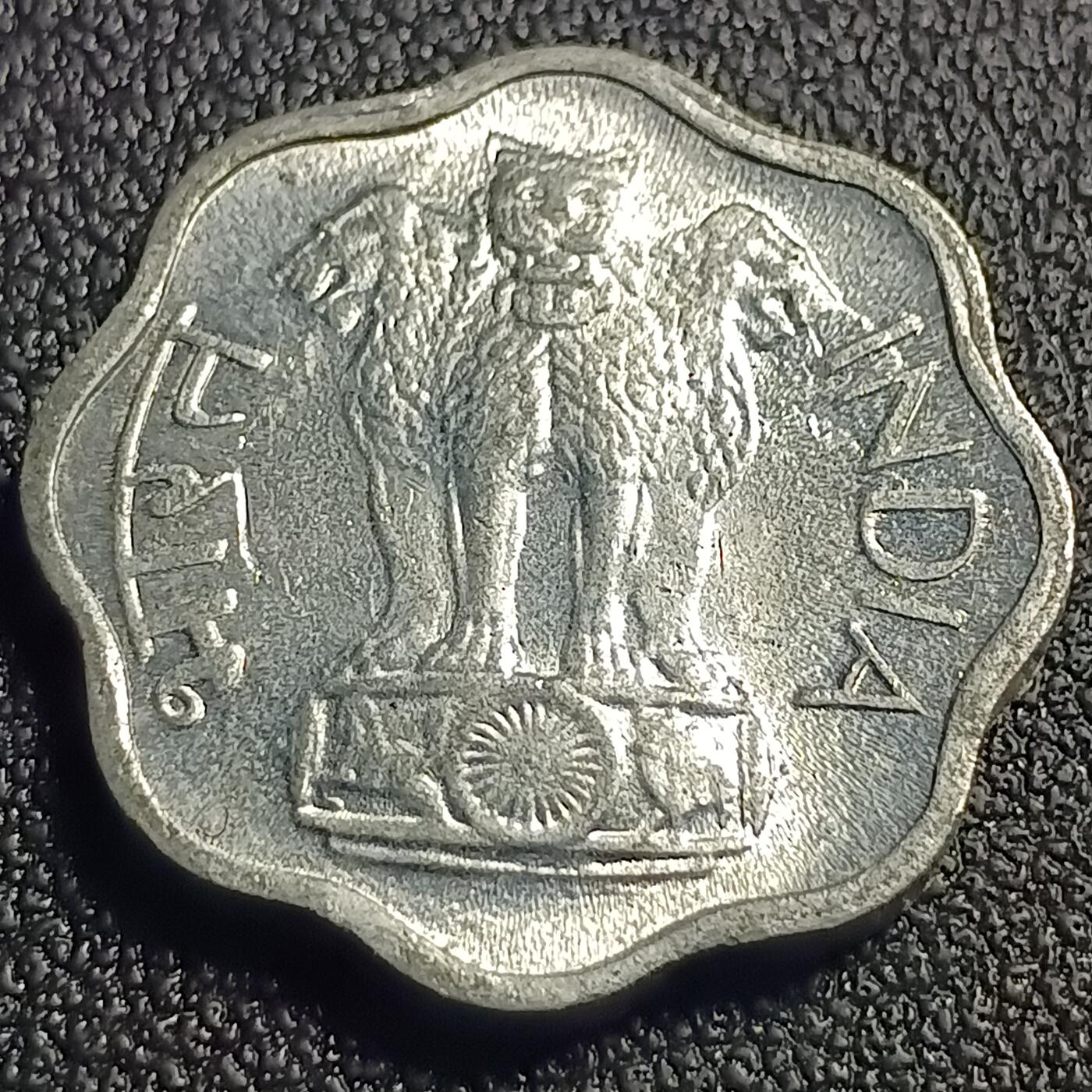 泉币菌-第128场-精品福利场(115场之后的本周末发货，感谢理解) 。