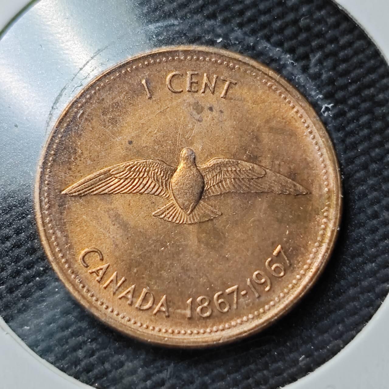 KK钱币收藏小铺  第365场  2月预留时间 周末发货