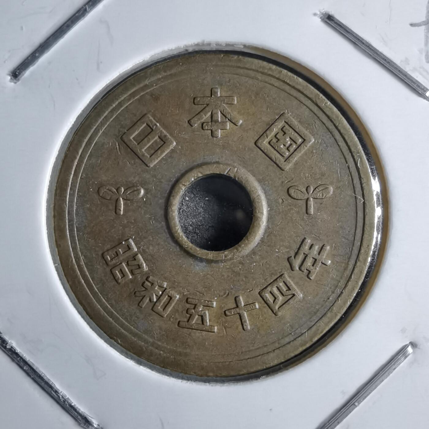 沼泽如烟--第891场