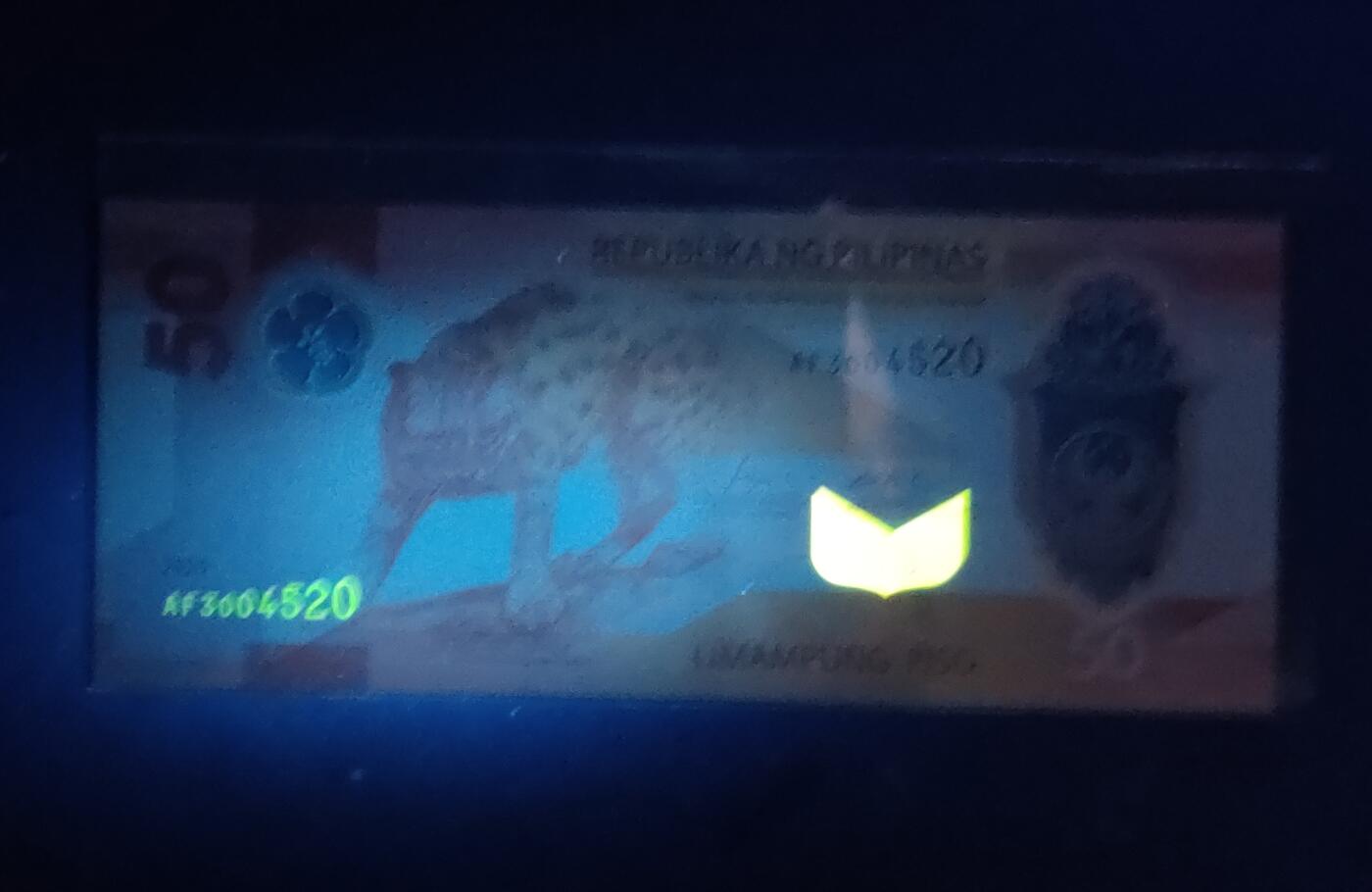 中外各国钞、纪念钞、券专场（第三十二场） 2025年50比索塑料钞  菲律宾动物豹子 亚洲全新（爱情号）