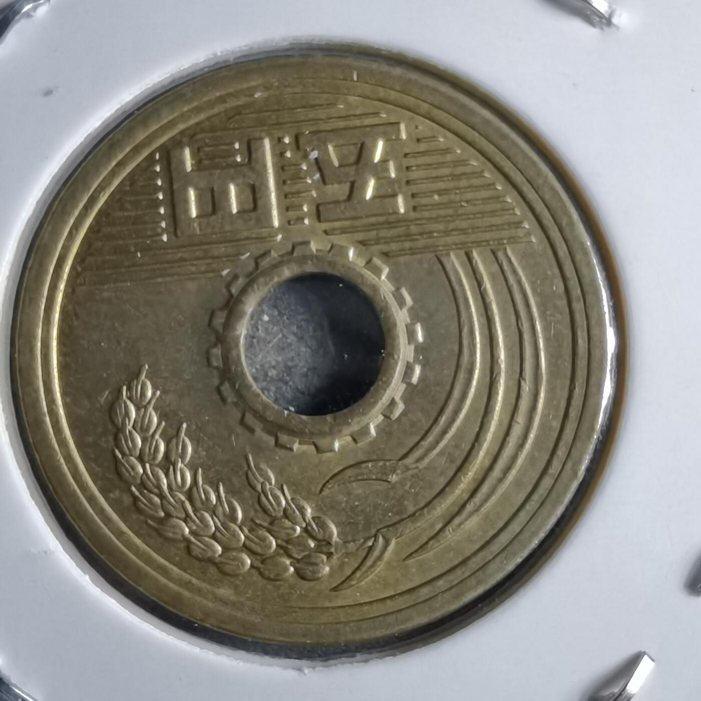 沼泽如烟--第891场