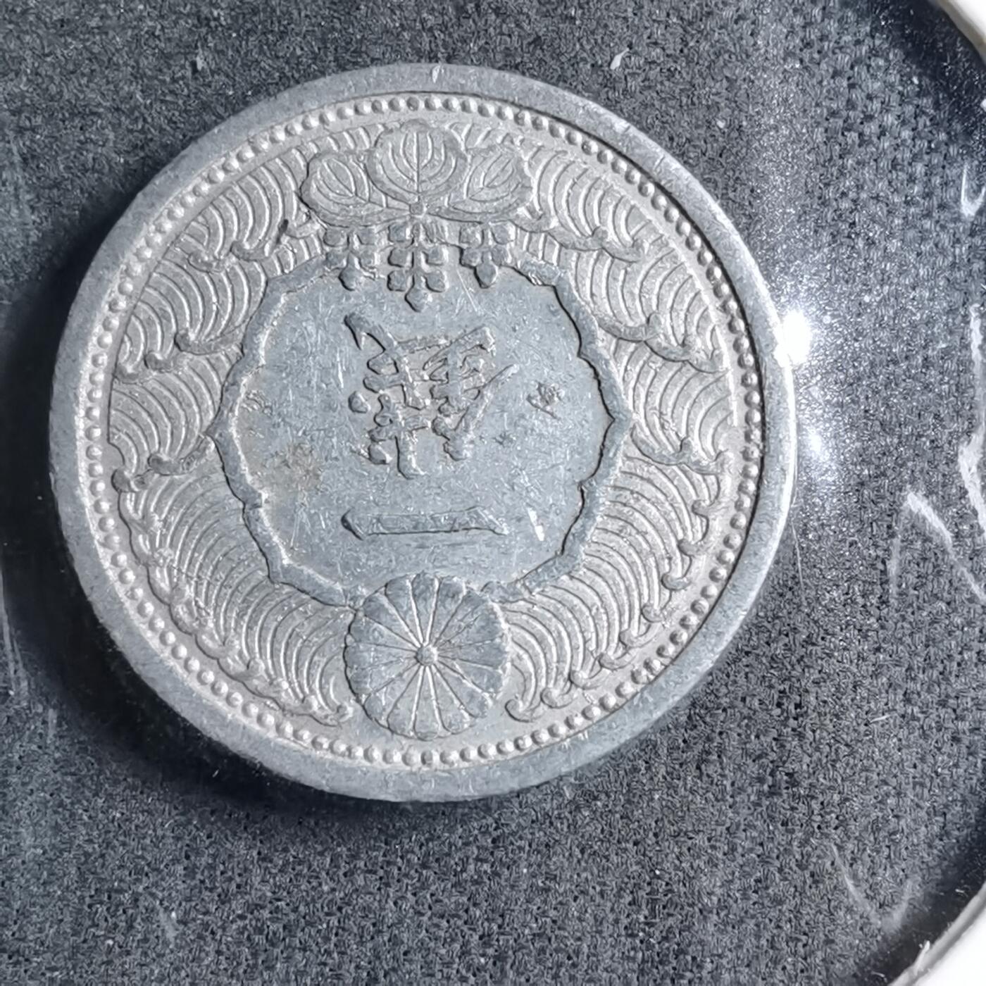 沼泽如烟--第891场