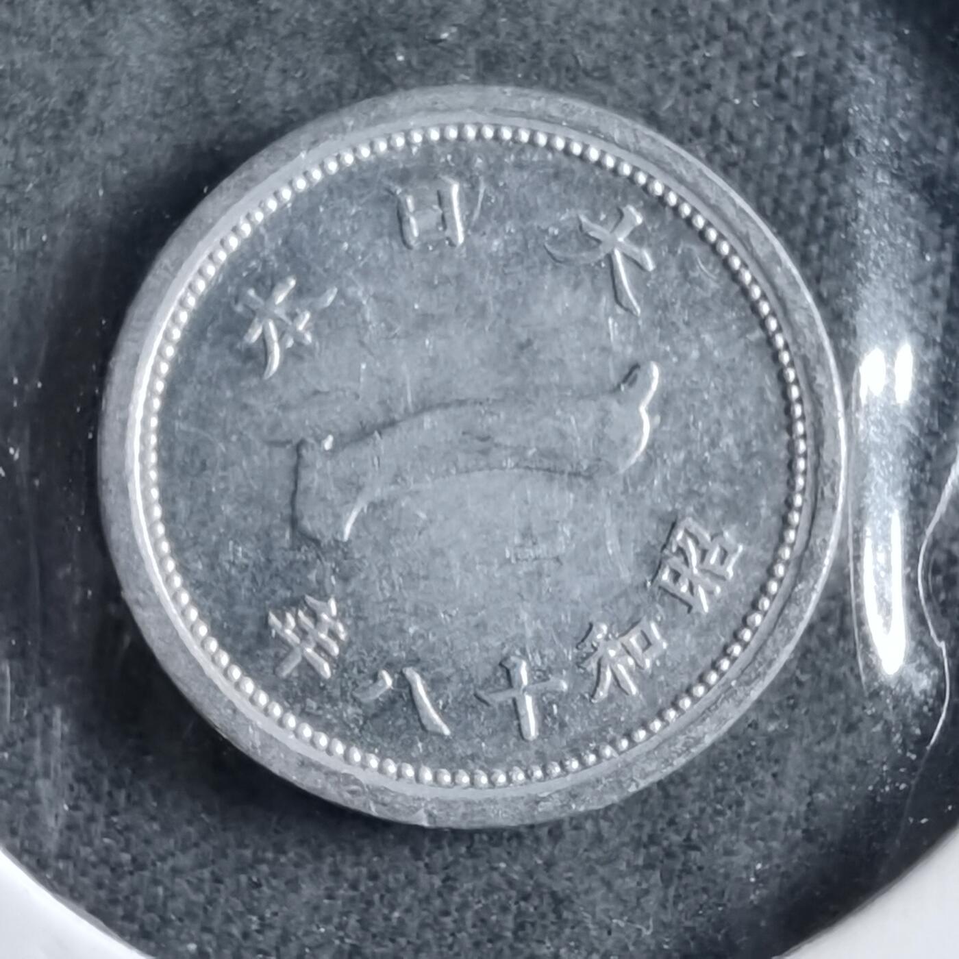 沼泽如烟--第891场