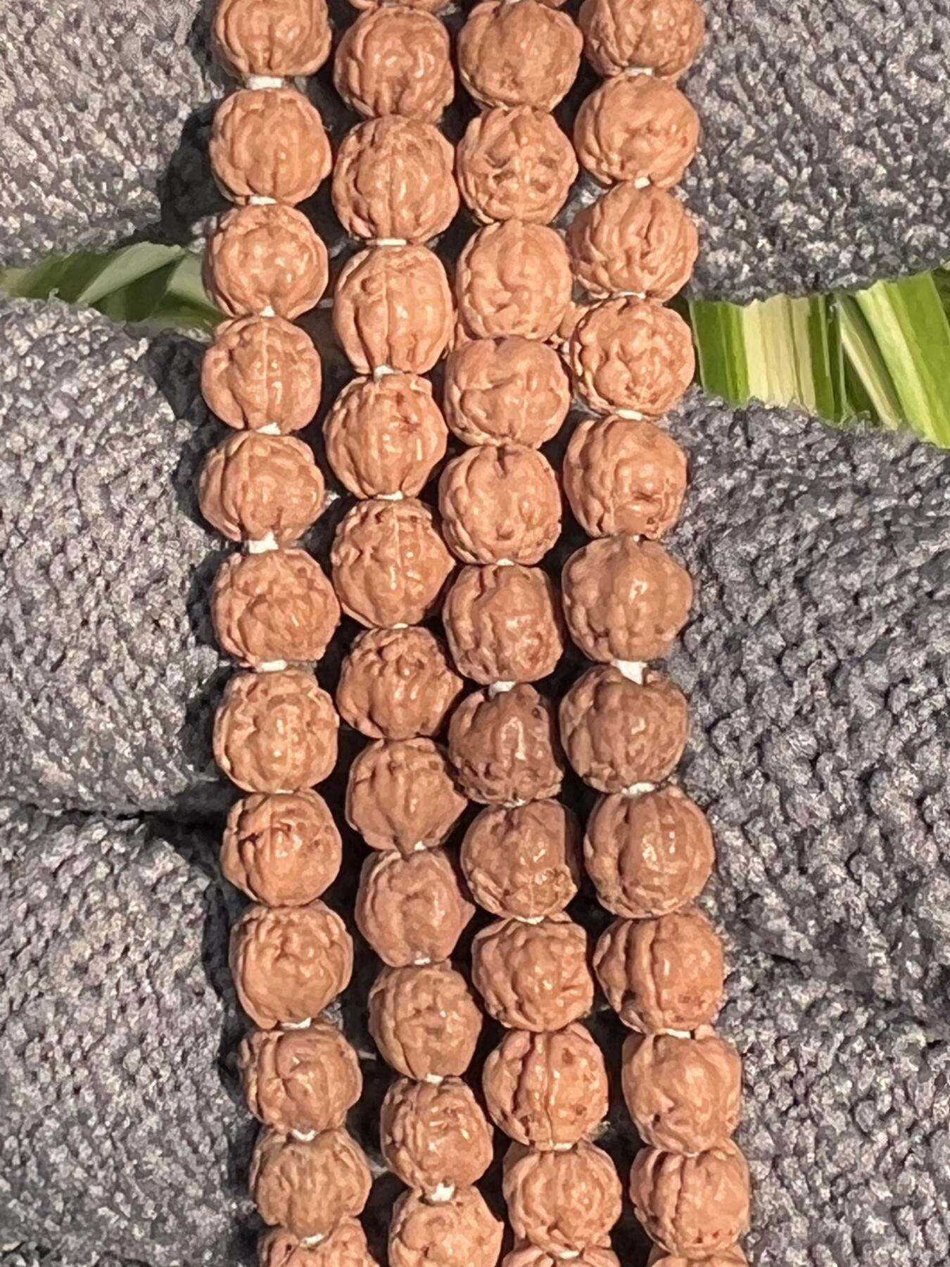 零元拍：NO.8 五爪金龙小佛手长串5MM左右，非常容易变红，坊间人称三日红，很容易有盘玩成就感。图8是我自己盘玩效果