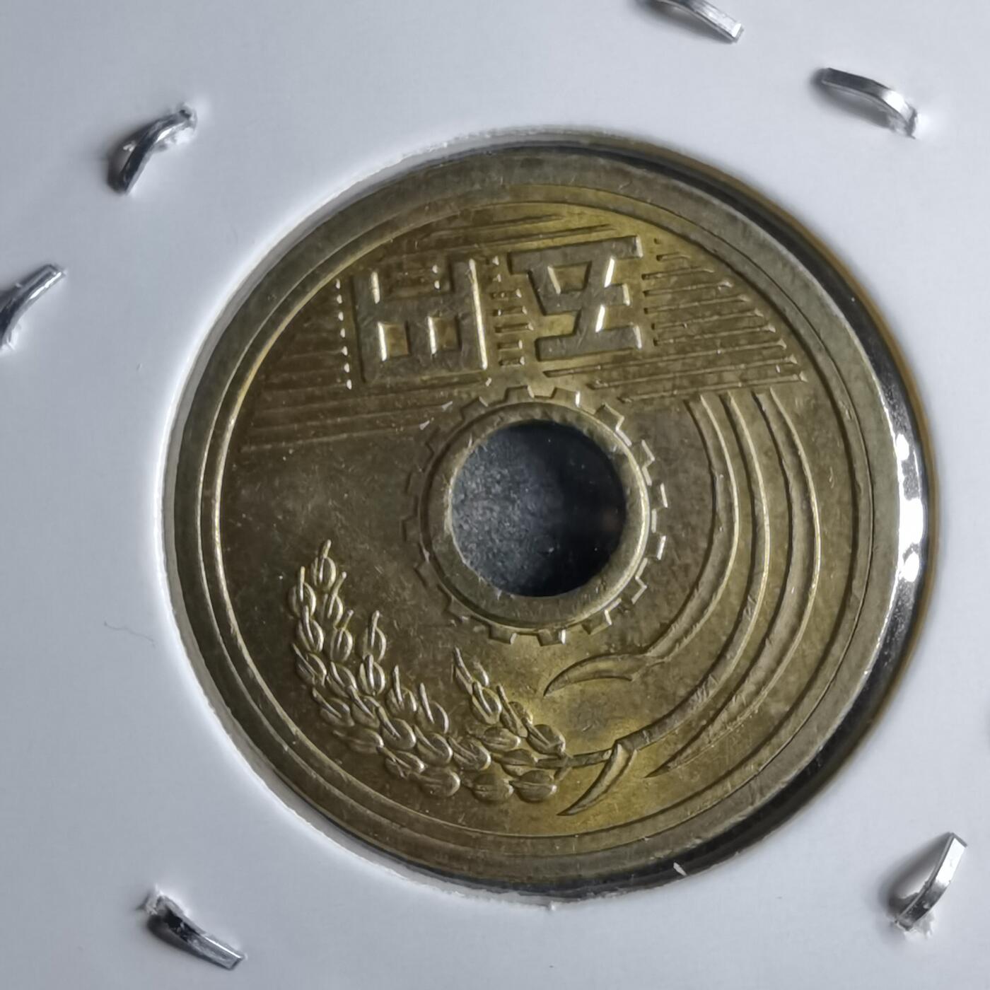 沼泽如烟--第891场