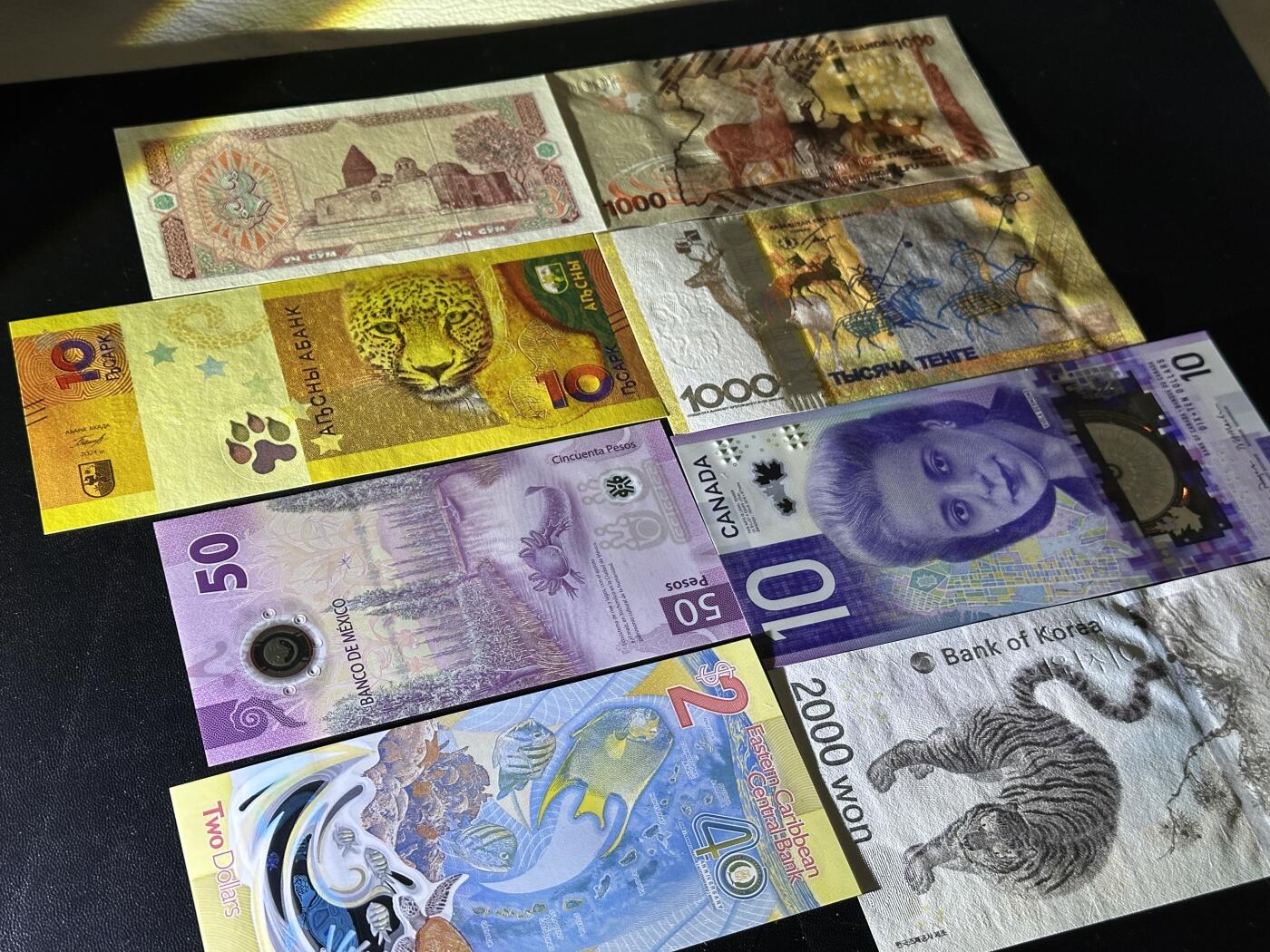 《外钞收藏家》第五百八十二期（精品场）（本平台长期征集拍品、欢迎藏友们联系合作） 韩国冬奥会纪念钞、墨西哥、加拿大、哈萨克斯坦等八张精美纸币和塑料钞一起 全新UNC