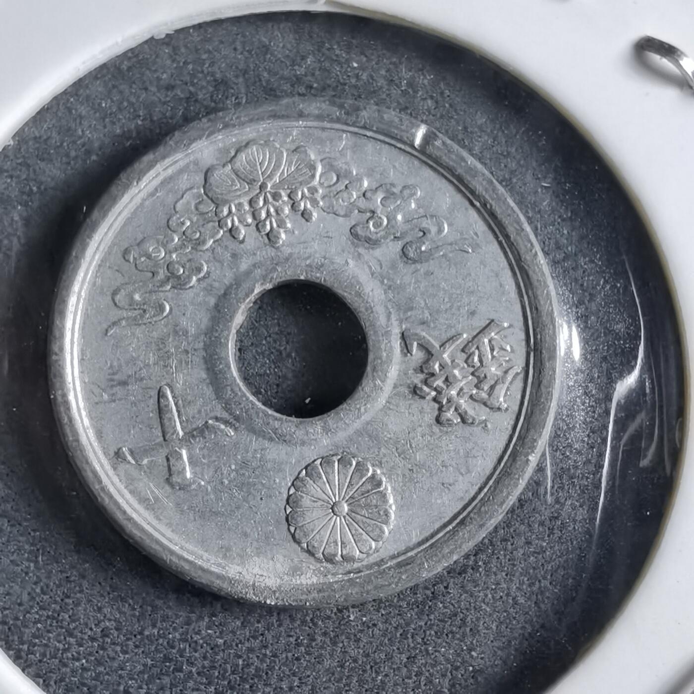 沼泽如烟--第891场