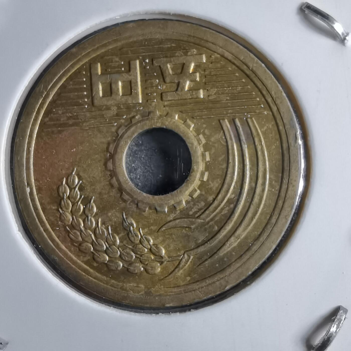 沼泽如烟--第891场