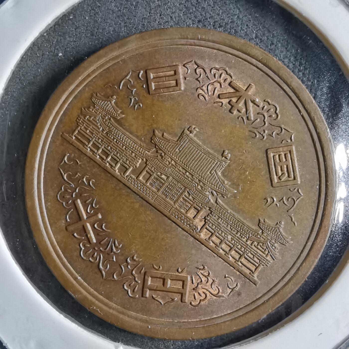 沼泽如烟--第891场