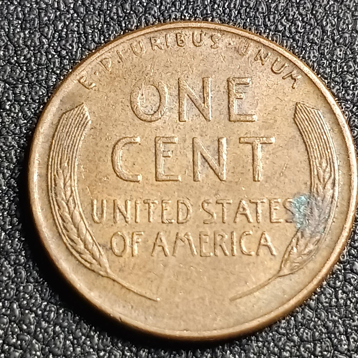 泉币菌-第128场-精品福利场(115场之后的本周末发货，感谢理解) 。