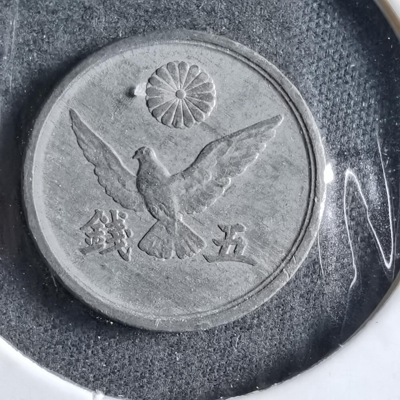 沼泽如烟--第891场