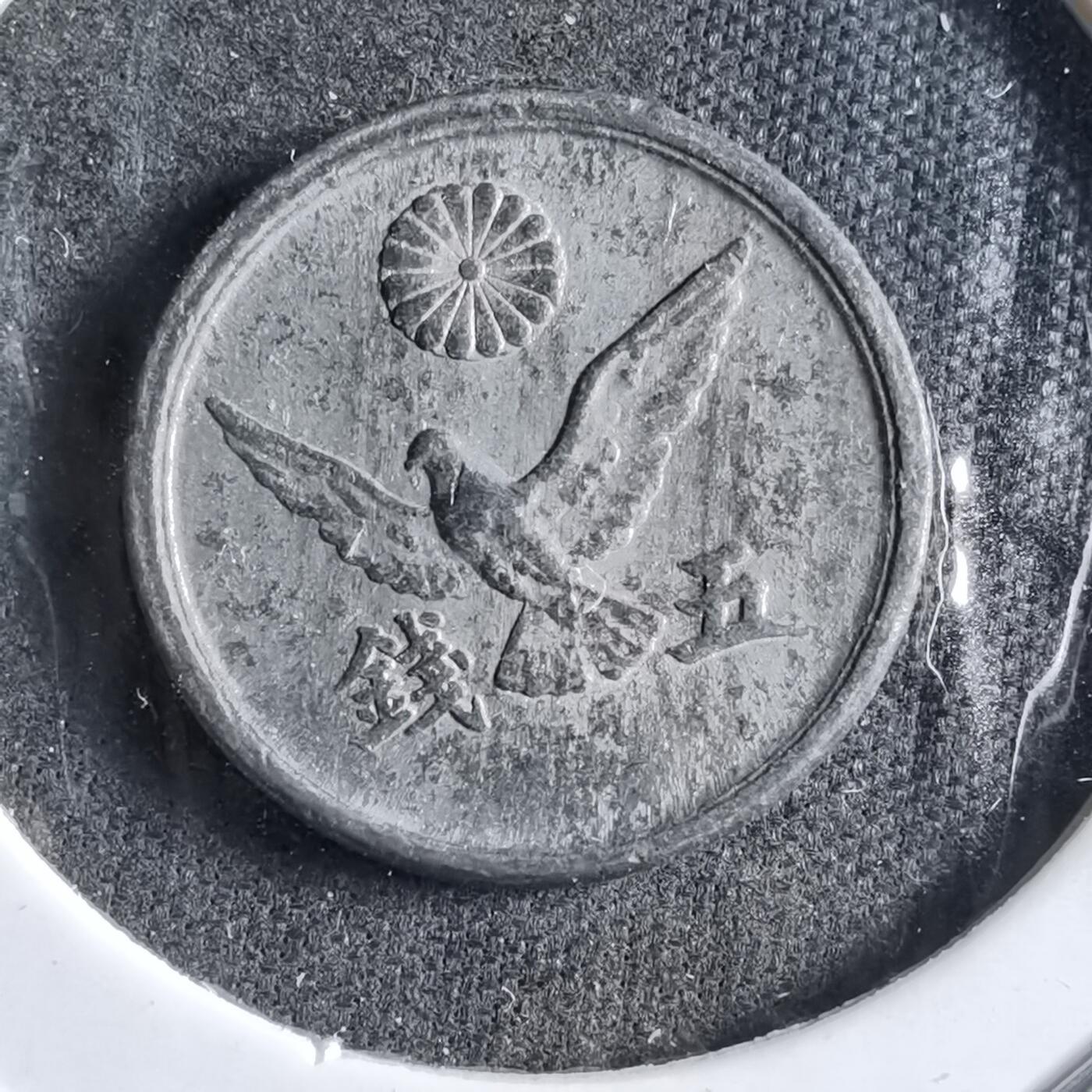 沼泽如烟--第891场