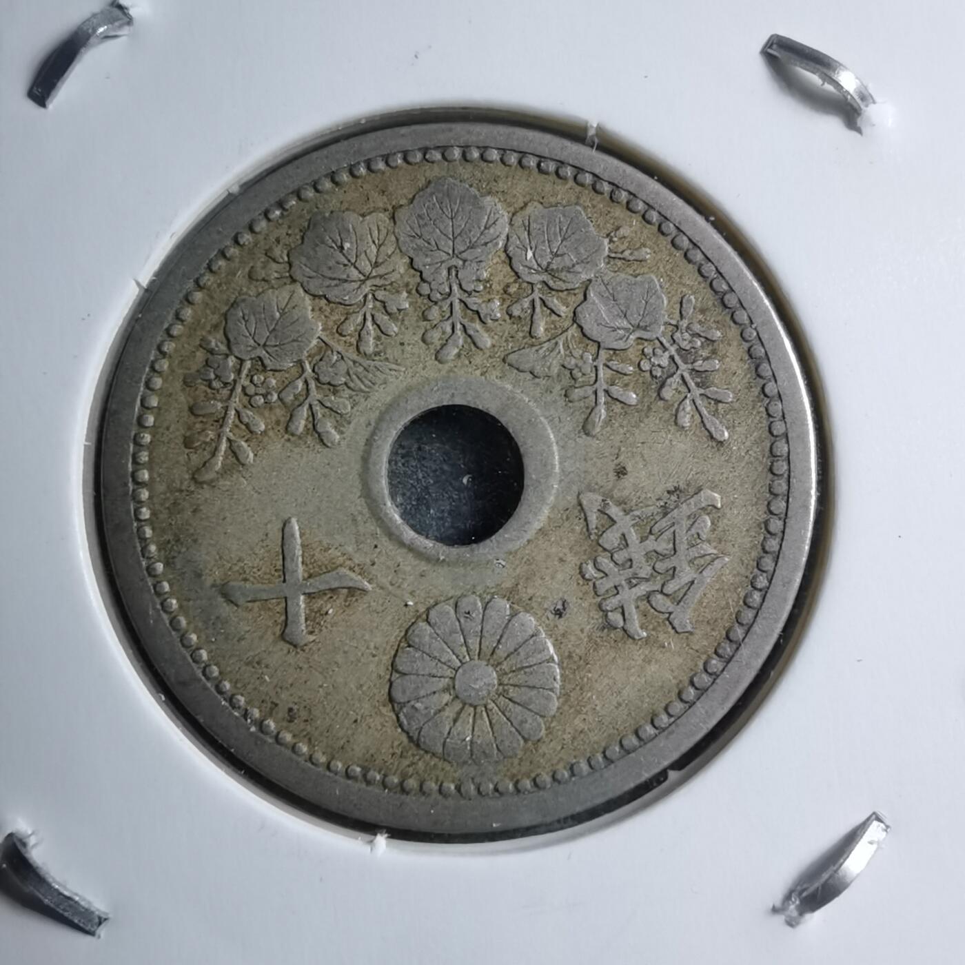 沼泽如烟--第891场