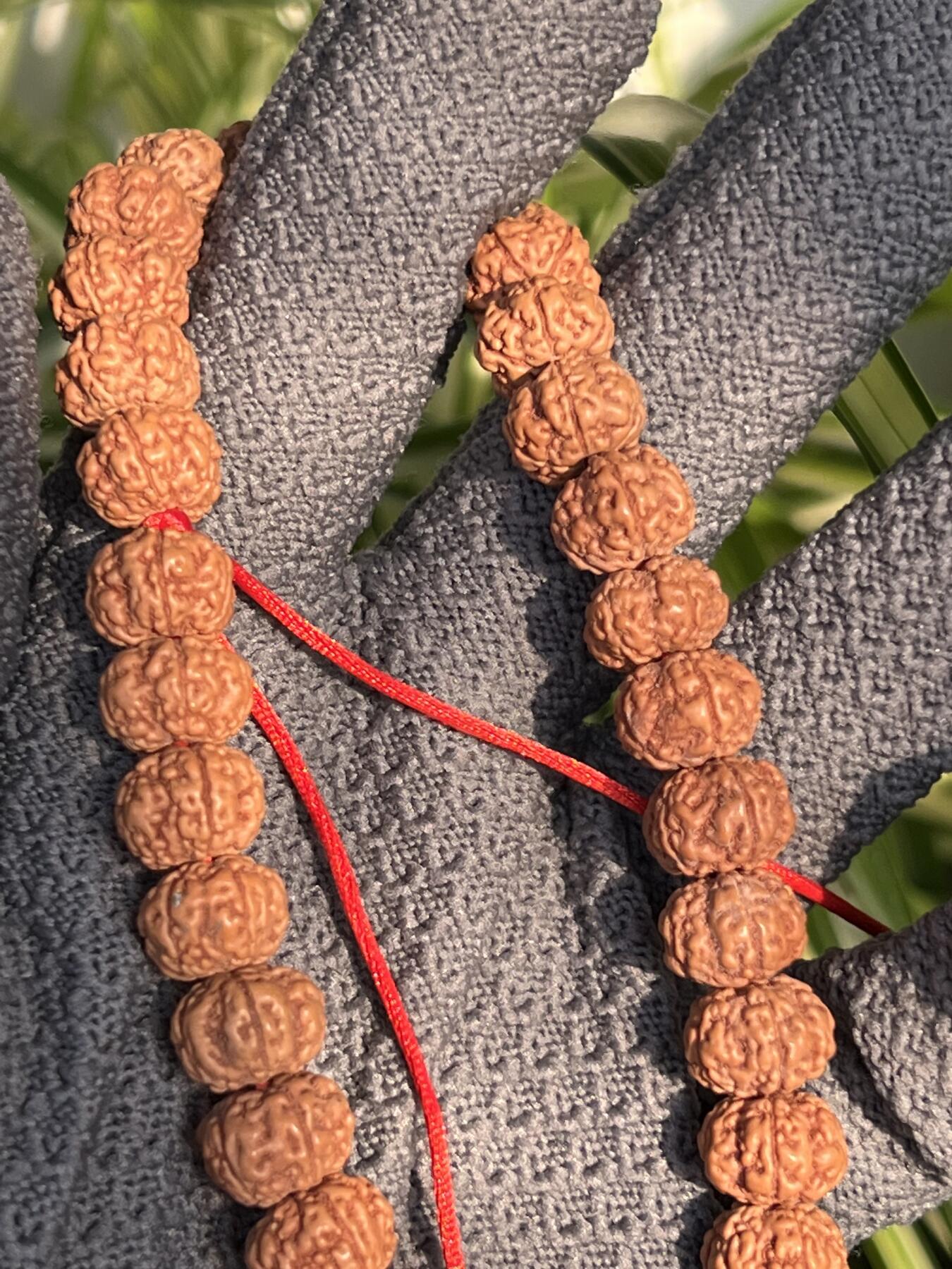 零元拍：NO.10 原生态矮桩花王金刚菩提手持，12/8.5 