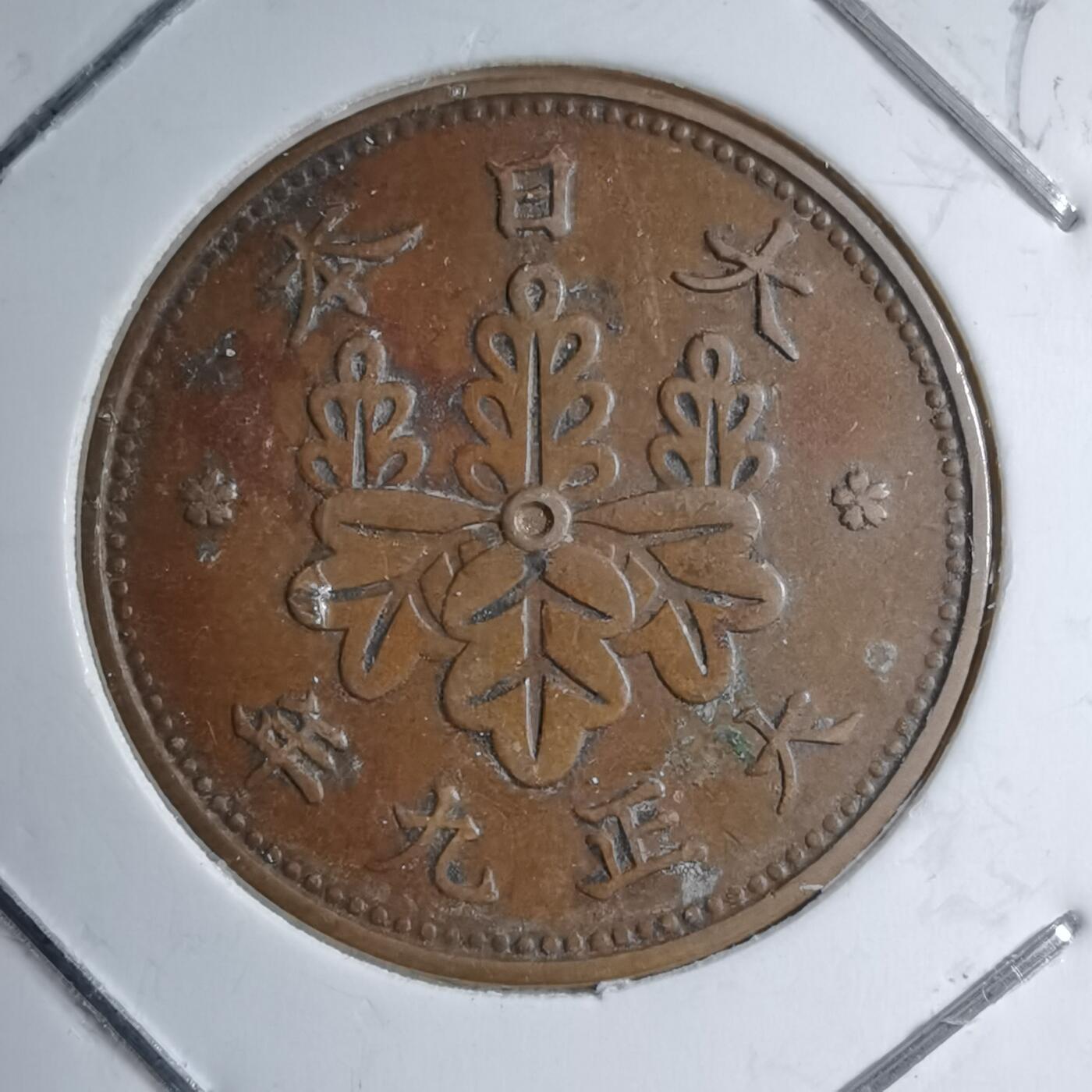 沼泽如烟--第891场