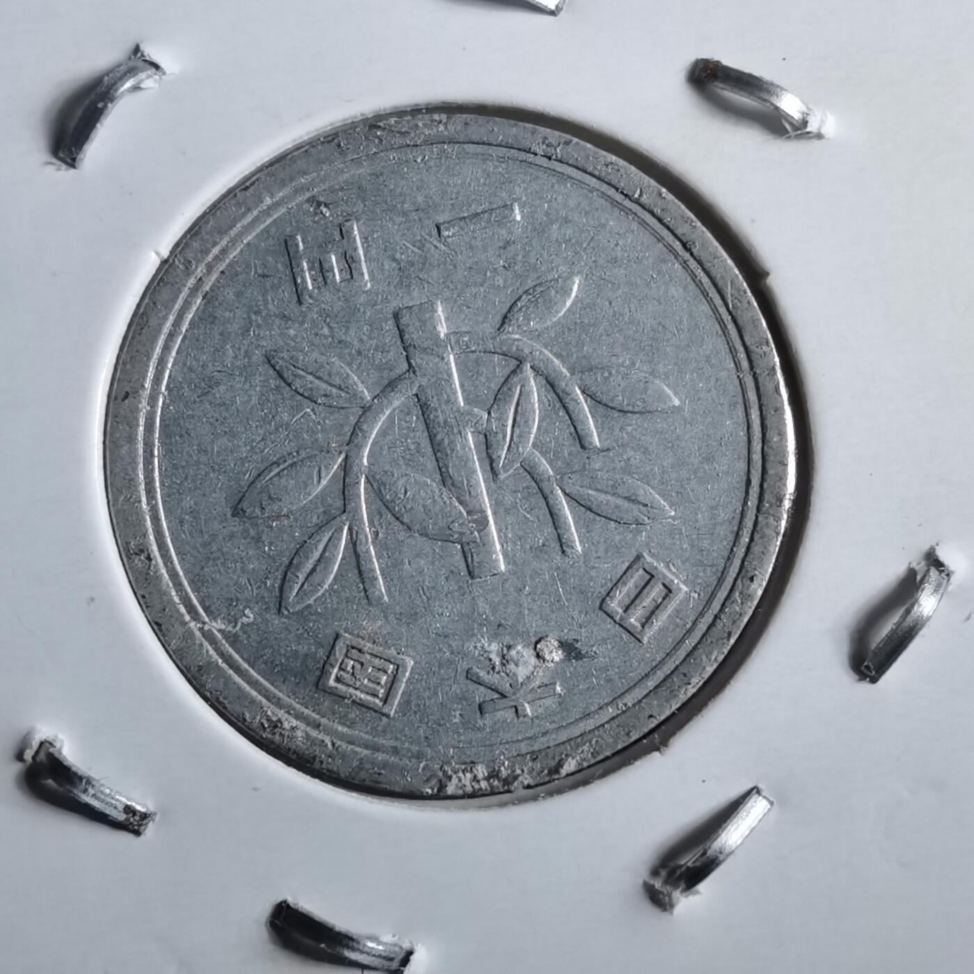 沼泽如烟--第891场