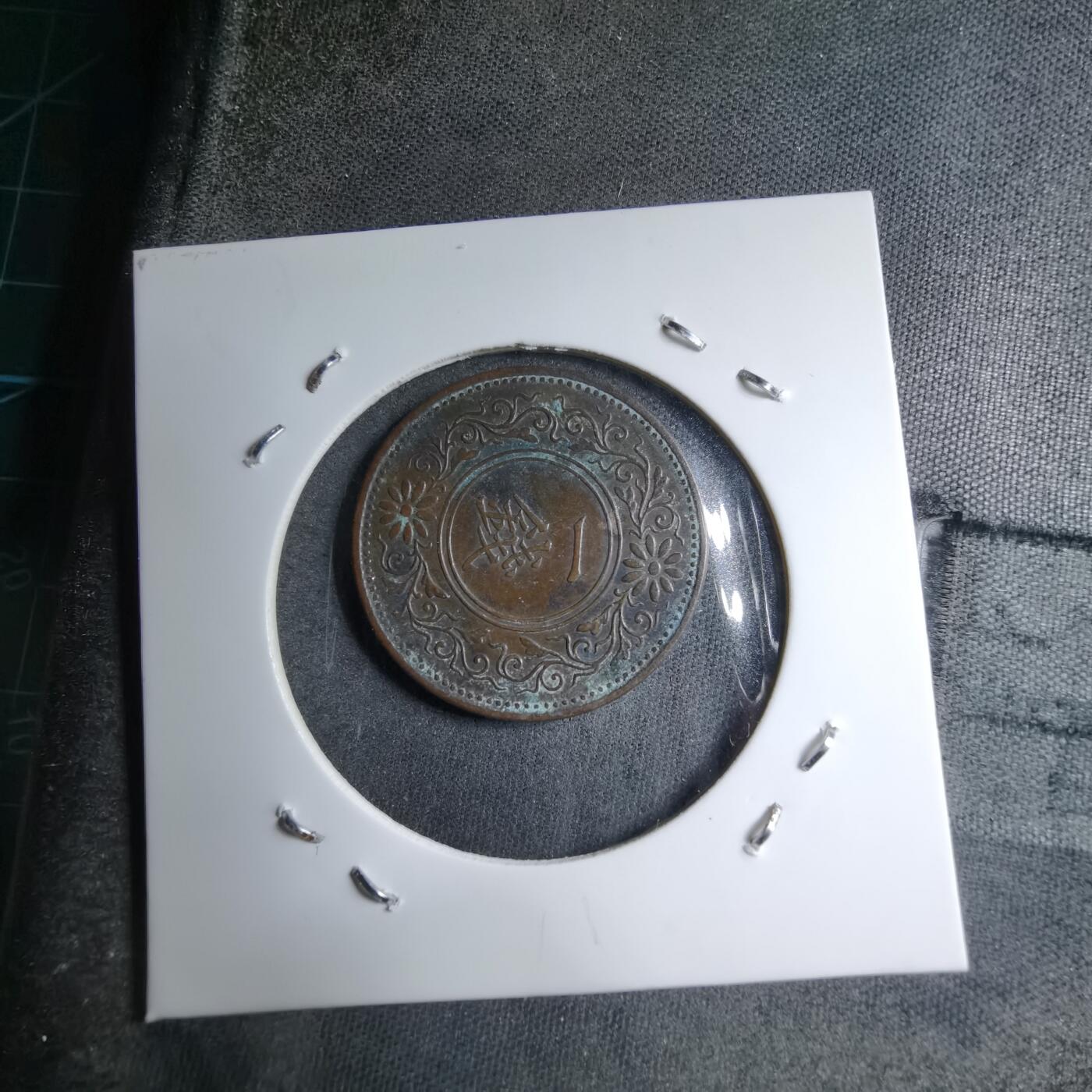 沼泽如烟--第891场