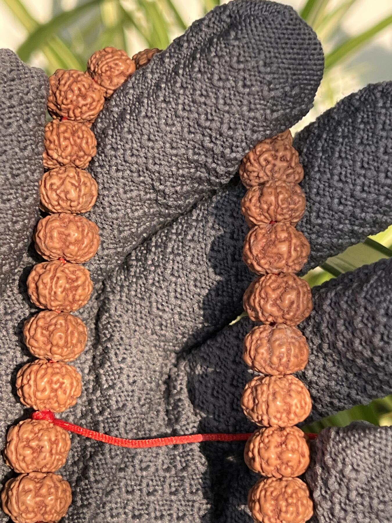 零元拍：NO.10 原生态矮桩花王金刚菩提手持，12/8.5 