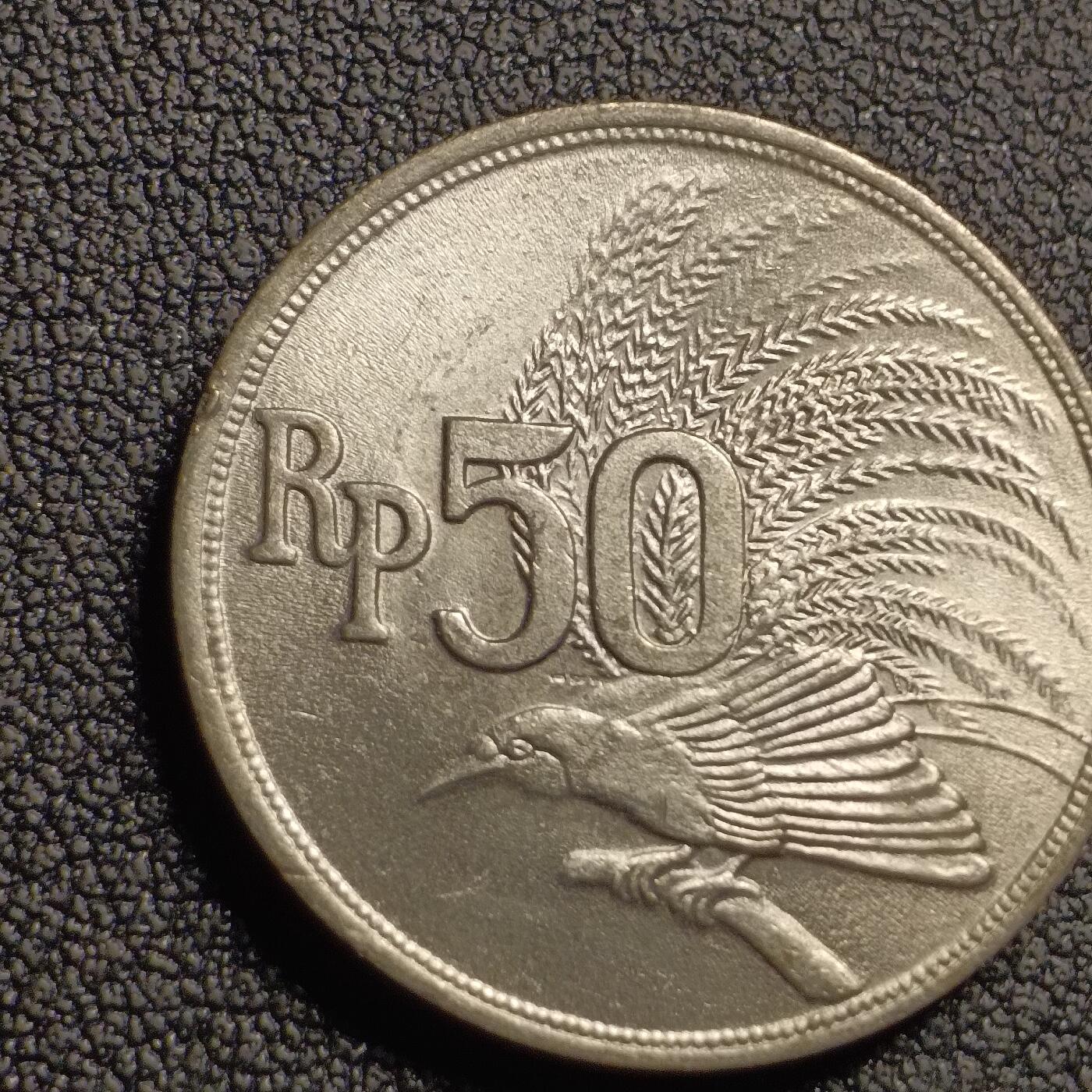 泉币菌-第127场-精品福利场(115场之后的本周末发货，感谢理解) 。