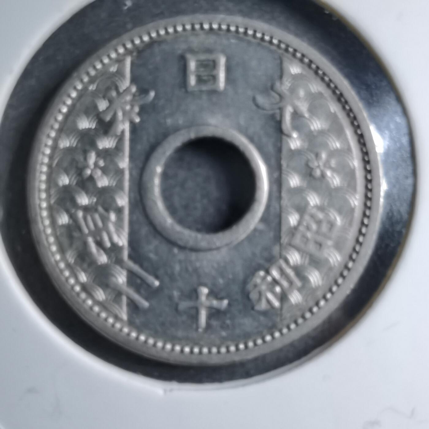 沼泽如烟--第891场