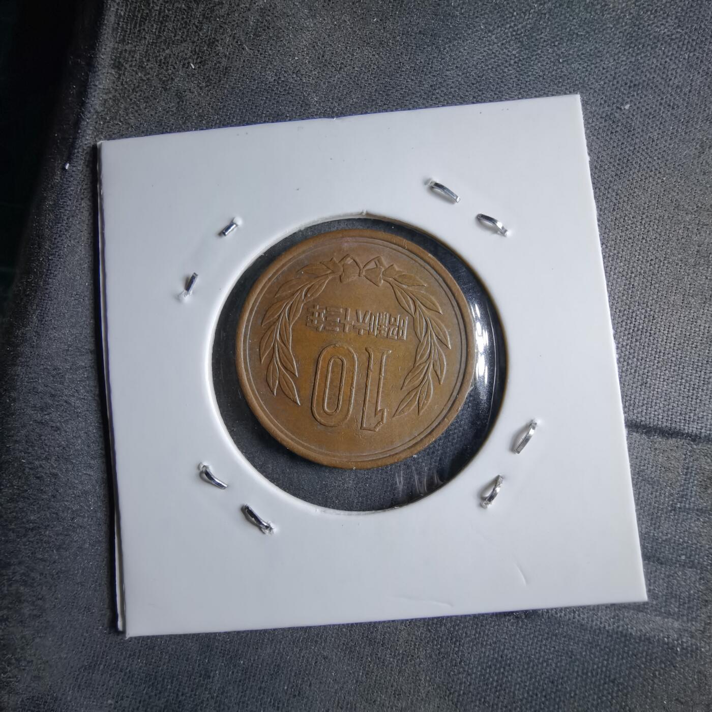 沼泽如烟--第891场