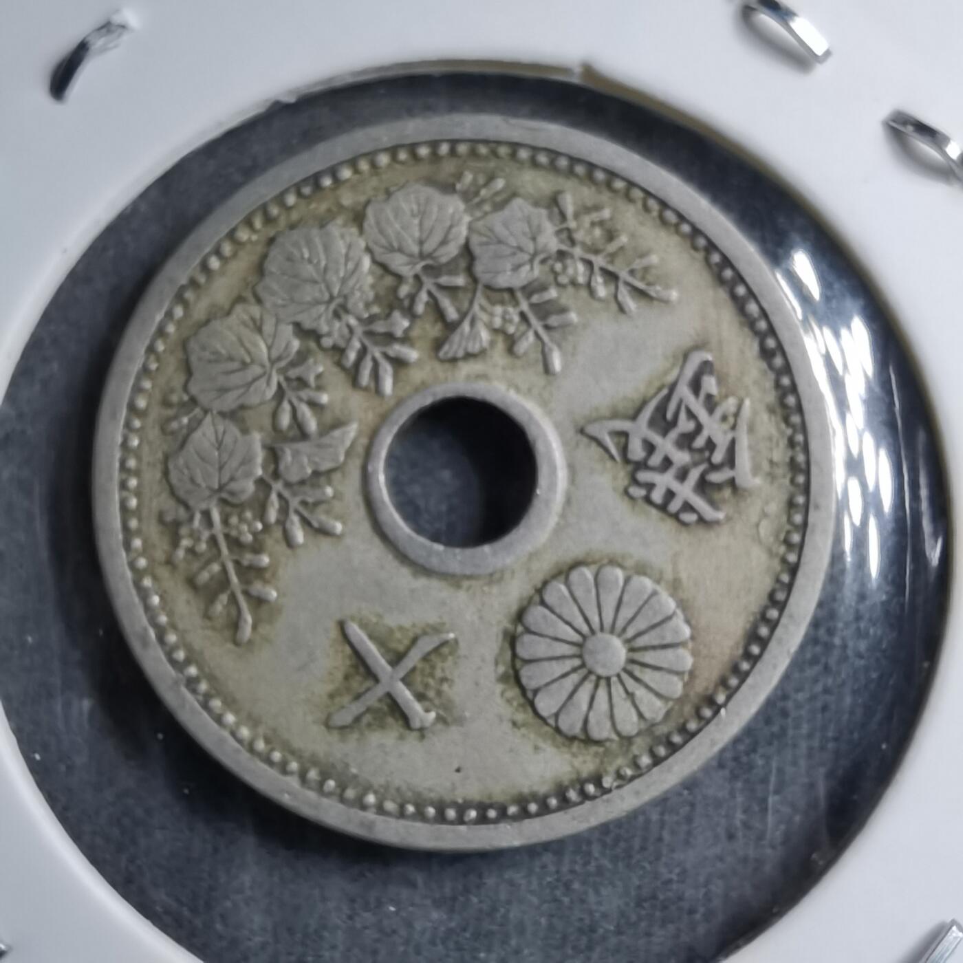 沼泽如烟--第891场