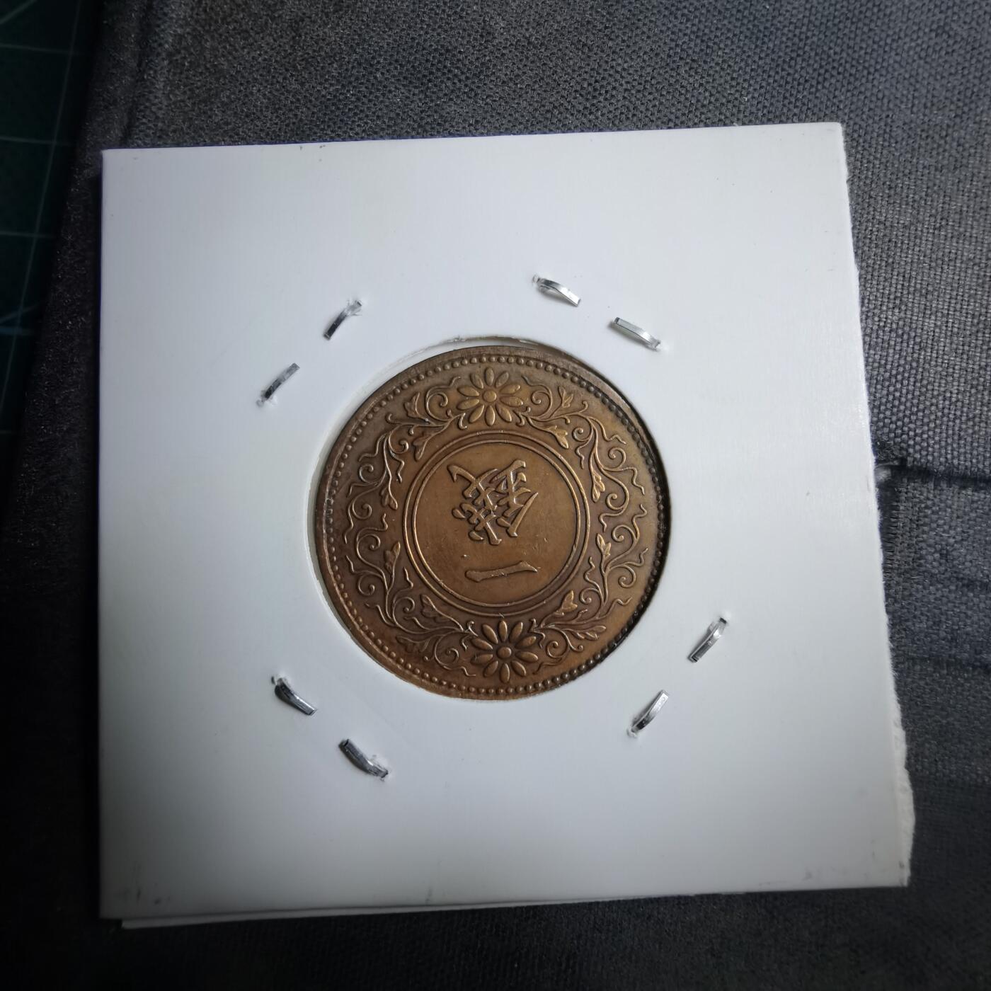 沼泽如烟--第891场