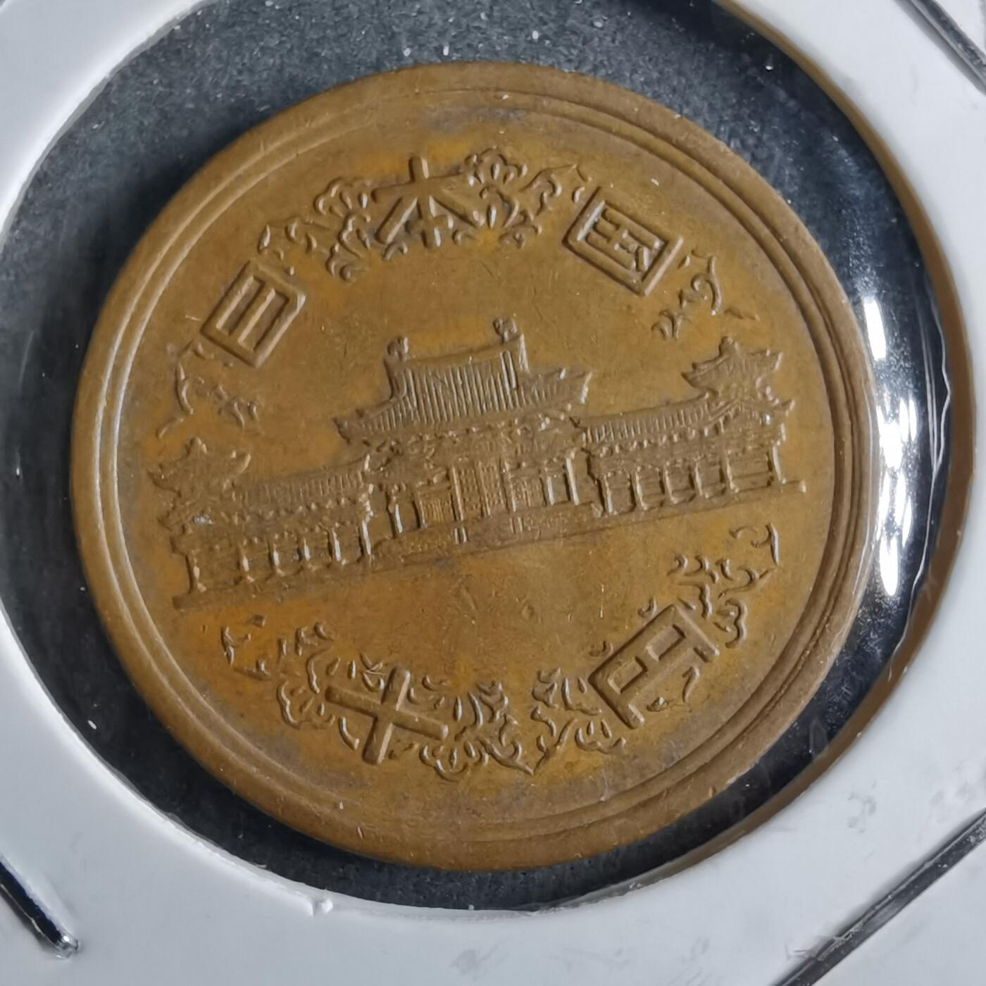 沼泽如烟--第891场