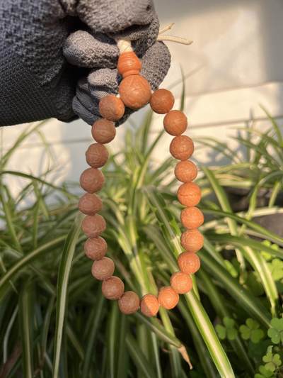 零元拍：NO.5凤眼单仓（媲美铁籽）大眼萌12MM左右念珠手串，今年新籽，皮质超棒。 - 零元拍：NO.5凤眼单仓（媲美铁籽）大眼萌12MM左右念珠手串，今年新籽，皮质超棒。