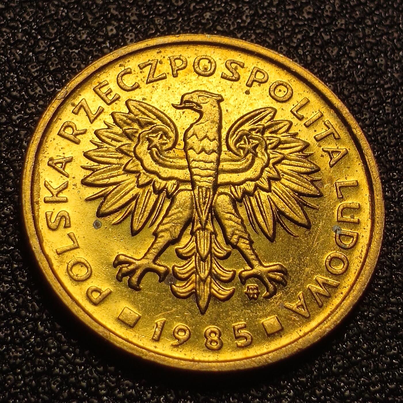 泉币菌-第128场-精品福利场(115场之后的本周末发货，感谢理解) 。