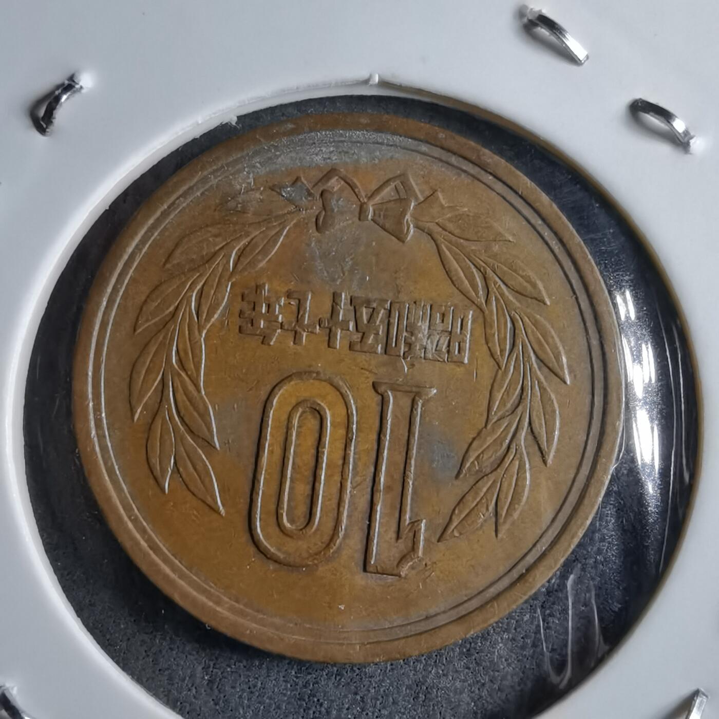 沼泽如烟--第891场