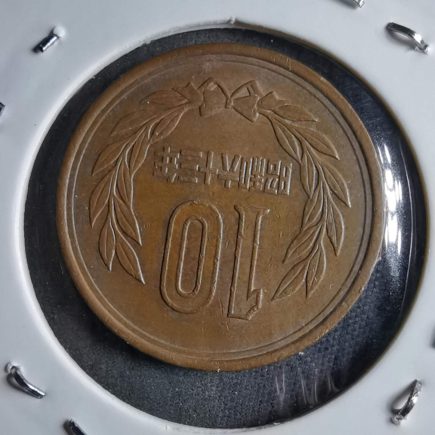 沼泽如烟--第891场