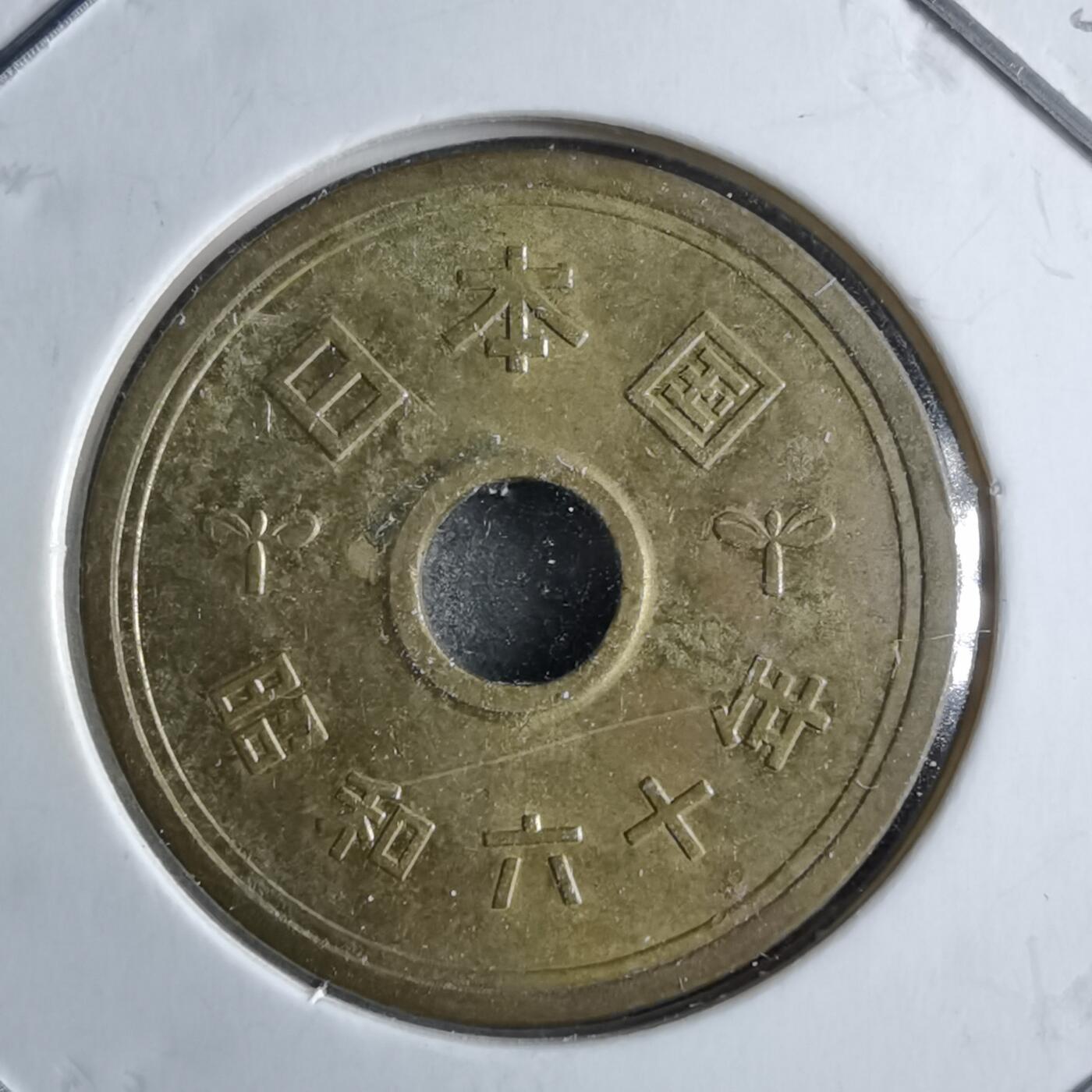 沼泽如烟--第891场