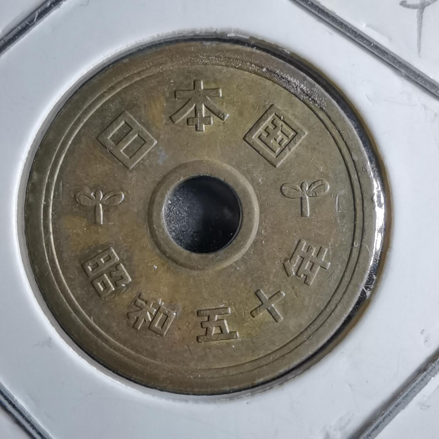 沼泽如烟--第891场