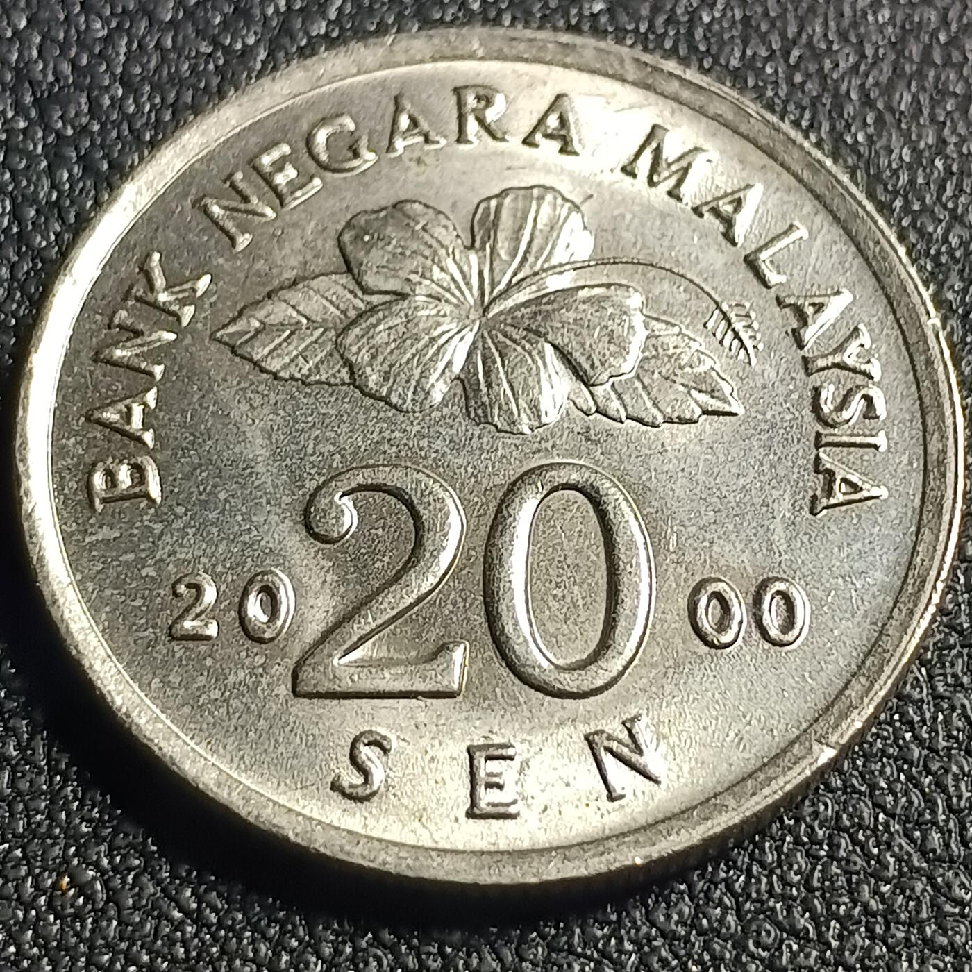 泉币菌-第128场-精品福利场(115场之后的本周末发货，感谢理解) 。