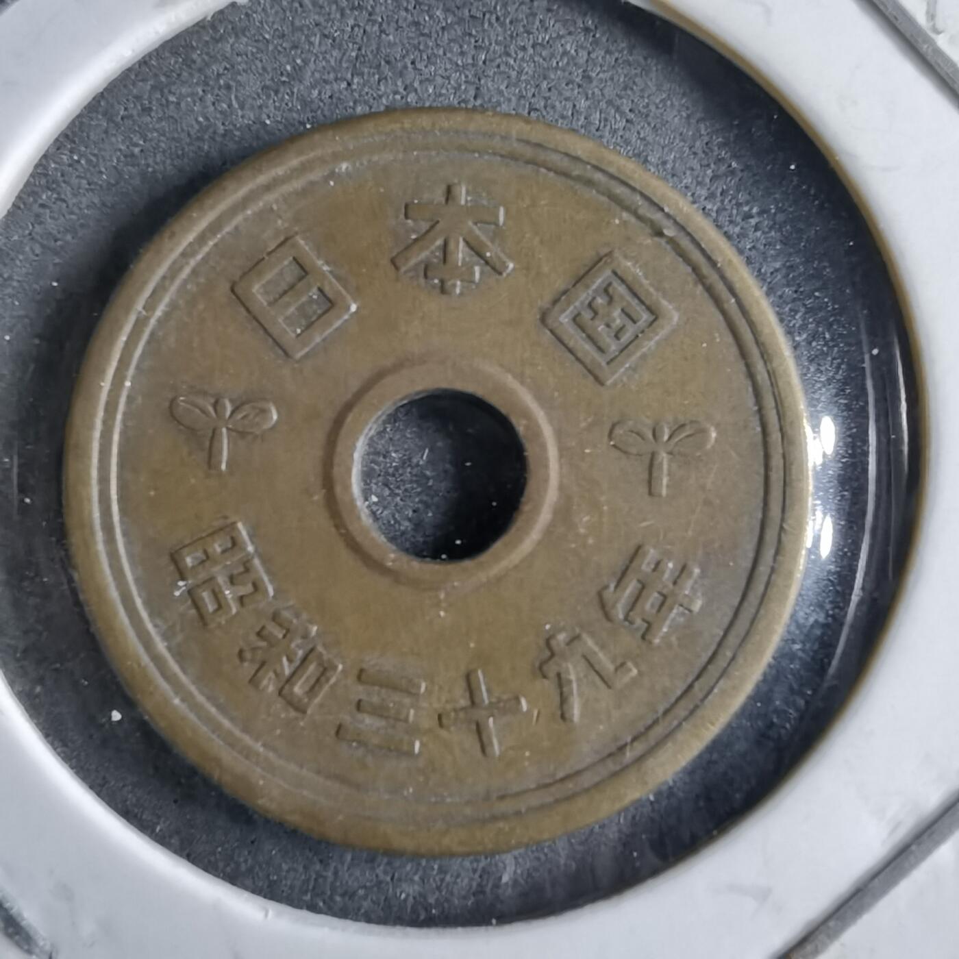 沼泽如烟--第891场