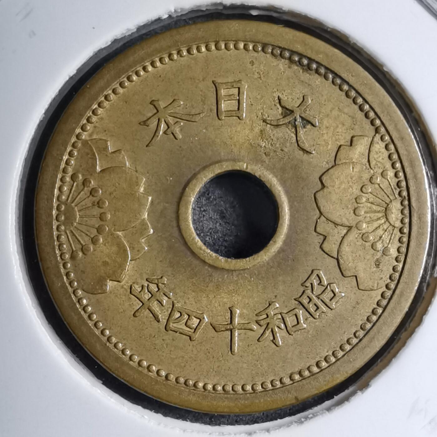 沼泽如烟--第891场