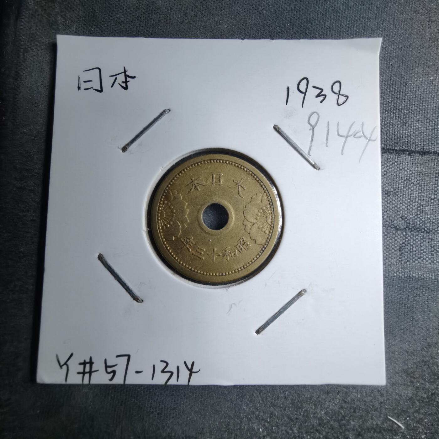 沼泽如烟--第891场