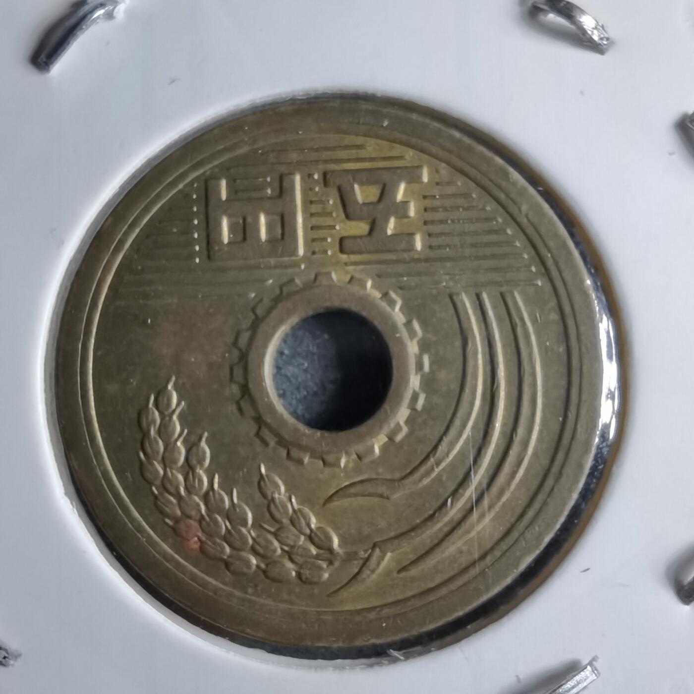 沼泽如烟--第891场