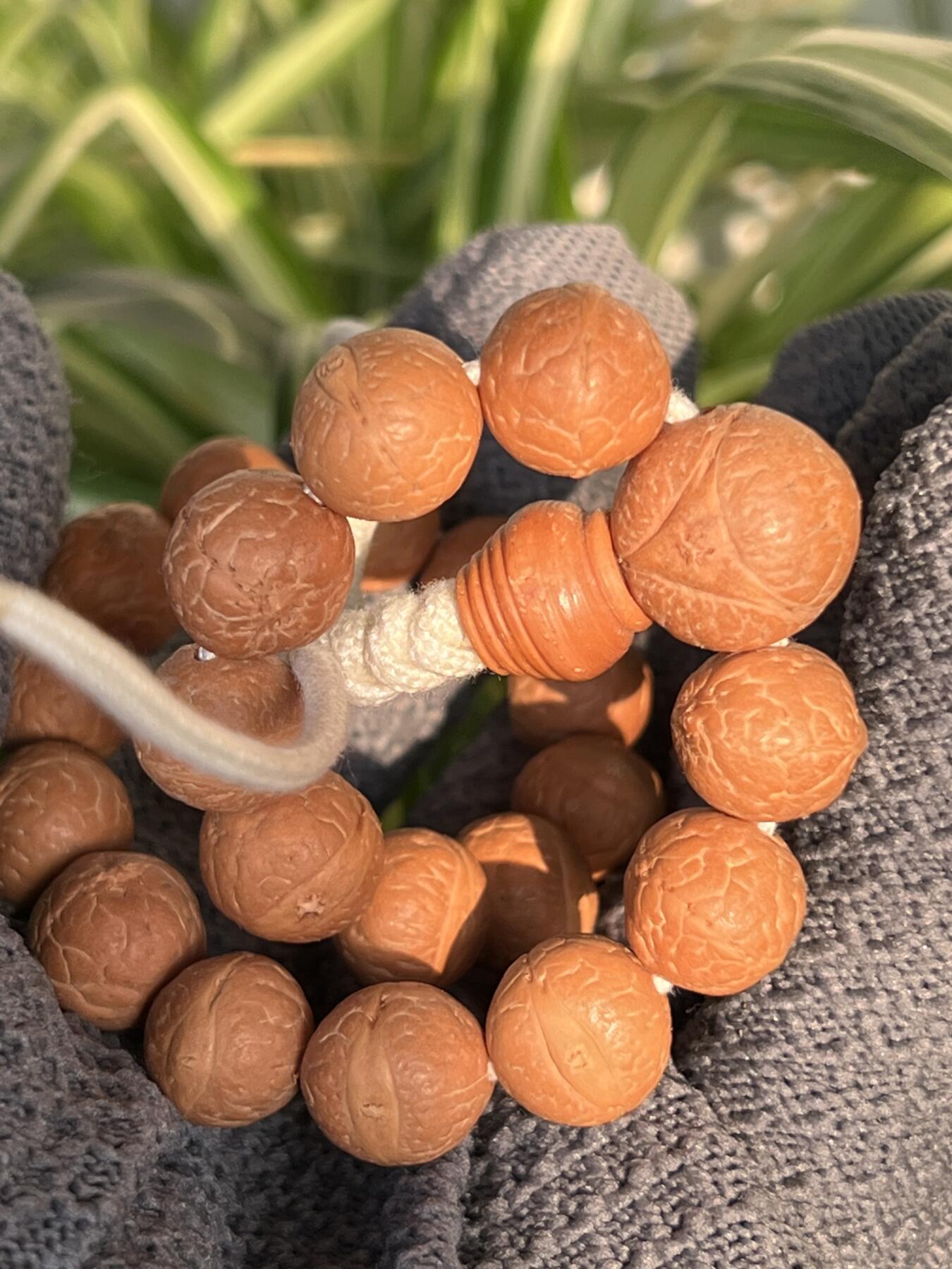 零元拍：NO.5凤眼单仓（媲美铁籽）大眼萌12MM左右念珠手串，今年新籽，皮质超棒。