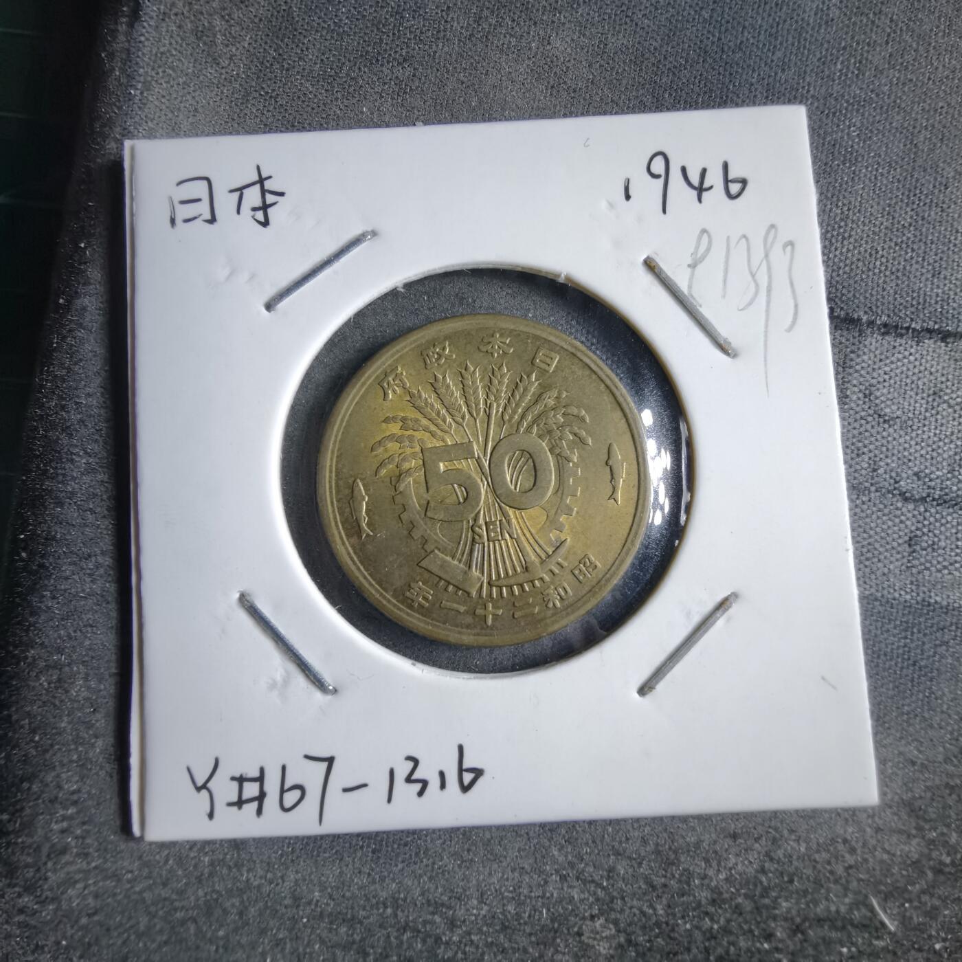 沼泽如烟--第891场