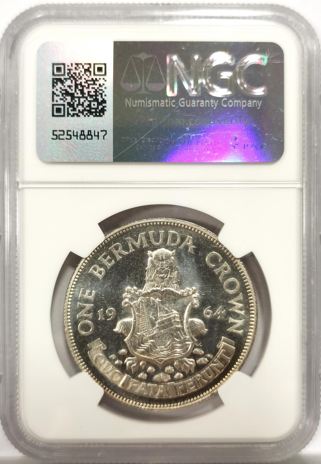 博洋堂“物美丰成”11月精品专场暨第145期（全场包邮）